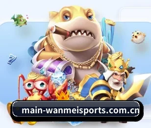完美体育的故事(WanmeiSports)
