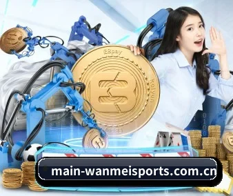 国际化进程 | WanmeiSports